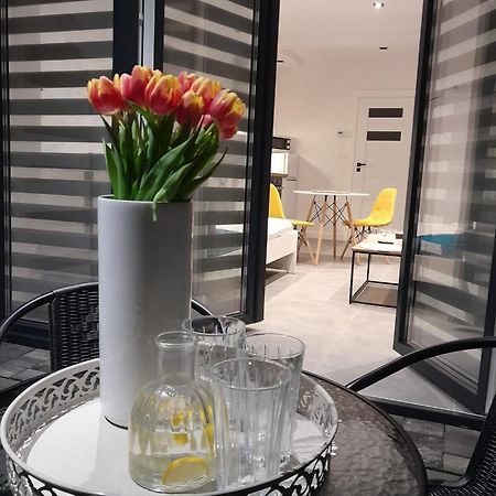 Viva Apartments オシフィエンチム エクステリア 写真