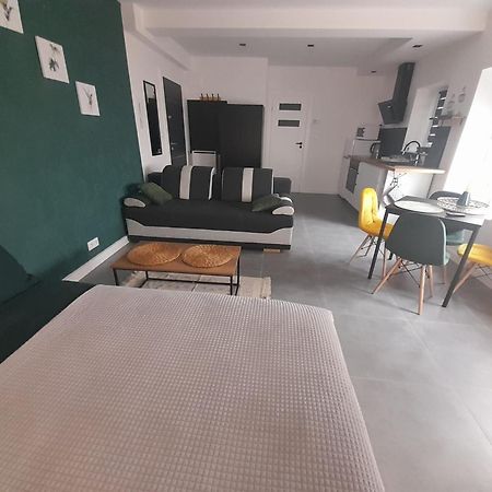 Viva Apartments オシフィエンチム エクステリア 写真