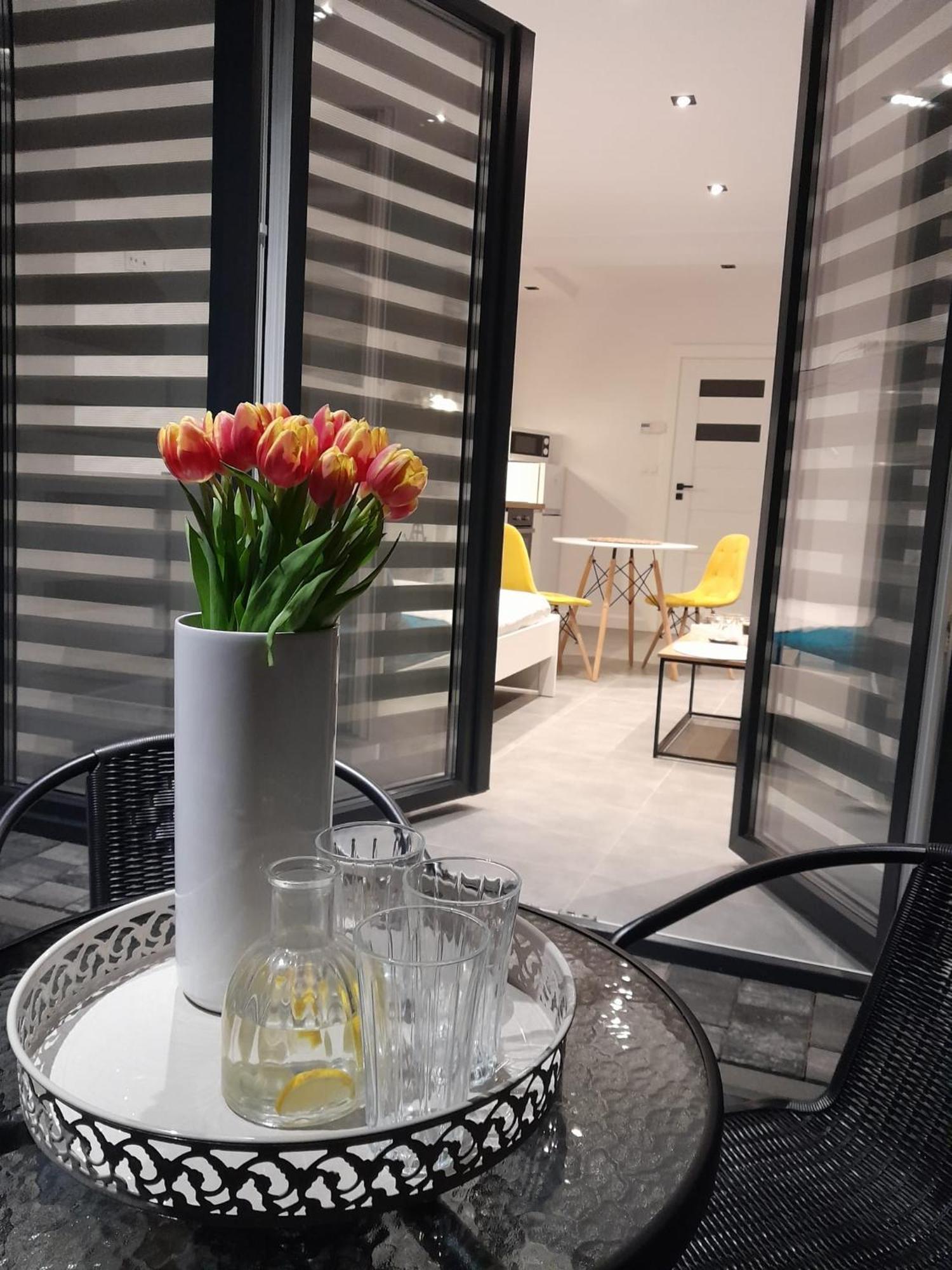 Viva Apartments オシフィエンチム エクステリア 写真